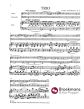 Schumann Klaviertrio g-moll Op.17 (Bernhard Pauler)