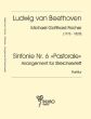 Beethoven Sinfonie Nr. 6 „Pastorale“ für Streichsextett (Partitur und Stimmen) (transcr. Michael G. Fischer) (Roland Heuer)