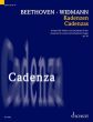 Widmann Cadenzas Concerto for Violin and Orchestra D major Op. 61 by Ludwig van Beethoven (Violin solo with Double Bass and Percussion) (2020)