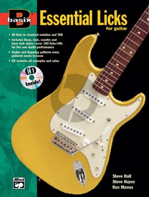 Basix Essential Licks for Guitar (Bk-Cd)