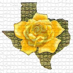 The Yellow Rose Of Texas