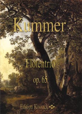 Kummer Trio d-minor Op.65 3 Flutes (Score/Parts) (grade 4)