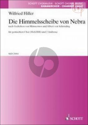 Die Himmelsscheibe von Nebra