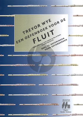 Wye Oefenboek voor de Fluit Vol.6 Oefeningen voor Gevorderden