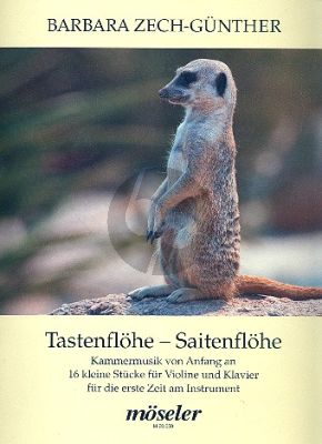 Tastenflöhe Saitenflöhe Violine-Klavier