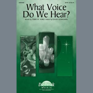 What Voice Do We Hear?