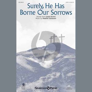 Surely, He Has Borne Our Sorrows - Flute 2