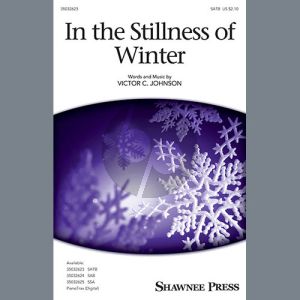 In The Stillness Of Winter