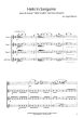 Meuris Helis In Sanguine 3 Flutes (C)-Alto Flute (Score/Parts)