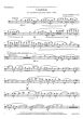 Turrin Canticle for trombone and piano