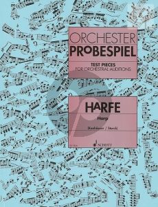 Orchester Probespiel