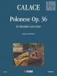 Polonese Op.36 (Mandolin-Guitar)