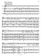 Schubert Winterreise für mittlere Stimme und Streichtrio Streicherstimmen (arr. Shane Woodborne)