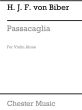 Biber Passacaglia for Violin solo