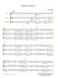 Vasks Castillo Interior for Violin-Viola and Cello (Score/Parts) (2013 / 2021)