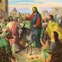 A Palm Sunday Jubilation