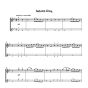 Goldberg Sounds of a Rainbow Vol.3 for Violin and Piano or 2 Violins (includes both duets and violin and piano versions in one volume) (Grades 3 -4)