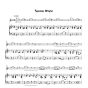 Goldberg Sounds of a Rainbow Vol.3 for Violin and Piano or 2 Violins (includes both duets and violin and piano versions in one volume) (Grades 3 -4)