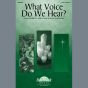 What Voice Do We Hear?