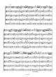 Bach Concerto G-minor BWV 1056 for Violin and Strings (Score) (Reconstruction from the Harpsichord version by Marco Serino)