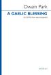 Park A Gaelic Blessing SATB