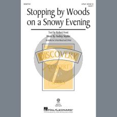 Stopping By Woods On A Snowy Evening