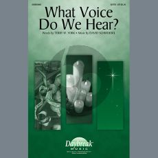 What Voice Do We Hear?