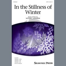 In The Stillness Of Winter