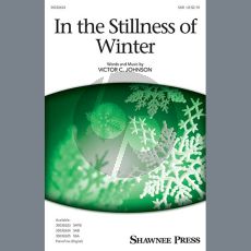 In The Stillness Of Winter