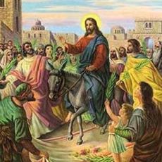 A Palm Sunday Jubilation