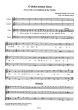 Grandi 8 Motetten Soprano [Tenor]- 2 Vi.-Bc (Score) (Jolando Scarpa)