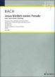 Jesus bleibet meine Freude (Jesu, Joy of Man's Desiring) (from BWV 147)