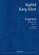 Karg-Elert 30 Caprices Op.107 Flauto (Rien de Reede)