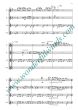 Ventimiglia Quartetto for 2 Flutes in C, Alto Flute and Bass Flute Score and Parts