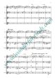 Ventimiglia Quartetto for 2 Flutes in C, Alto Flute and Bass Flute Score and Parts