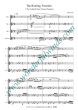 Carr The Roaring Twenties for Flute Quartet (3 Flutes in C and Alto Flute) Score and Parts