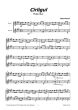 Fieraru 12 Romanian Folk Dances fir 2 Flutes (Advanced Level)