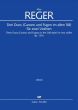 Reger Drei Duos (Canons und Fugen im alten Stil) Op. 131b für zwei Violinen (1914) (Jürgen Schaarwächter)
