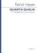 Hawes Quanta Qualia TTBarBarBB and Tenor Saxophone