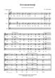 Dubois Het meezennestje SATB (Guido Gezelle)