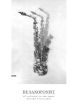 Francke Voermans De Saxofonist - Methode voor Altsaxofoon en Tenorsaxofoon - Boek met Audio Online