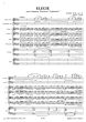 Suk Elegie Op. 23 Violin-Violoncello solo-String Quartet-Harmonium and Harp- (Score/Parts)