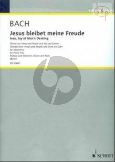 Jesus bleibet meine Freude (Jesu, Joy of Man's Desiring) (from BWV 147)