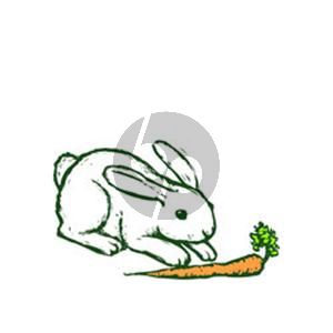 Oh, John The Rabbit (arr. Robert I. Hugh)