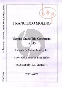 Grand Trio No.2 Op.45 (Flute-Viola-Guitar)