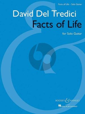 Del Tredici Facts of Life Guitar solo