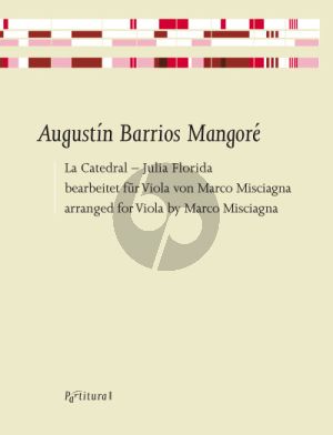 Barrios Mangore La Catedral - Julia Florida Viola solo (arr. Marco Misciagna)