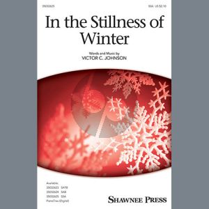 In The Stillness Of Winter