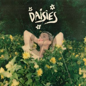 Daisies