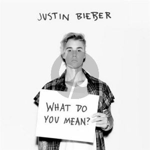 What Do You Mean?